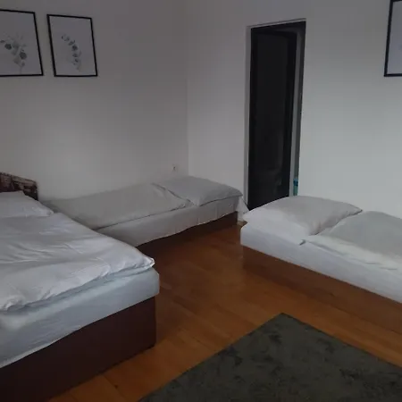 Helena Stará Lesná